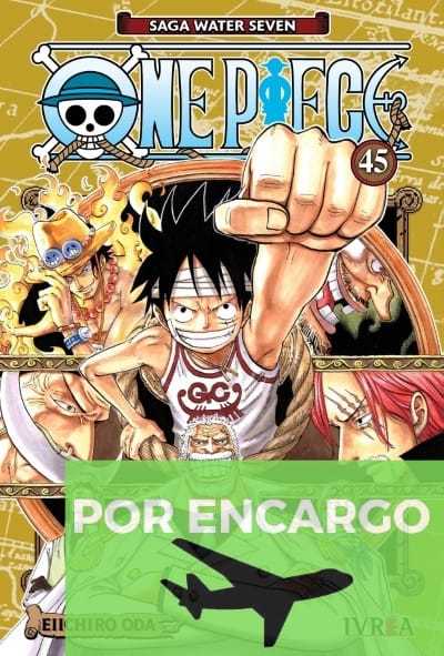 ONE PIECE 45